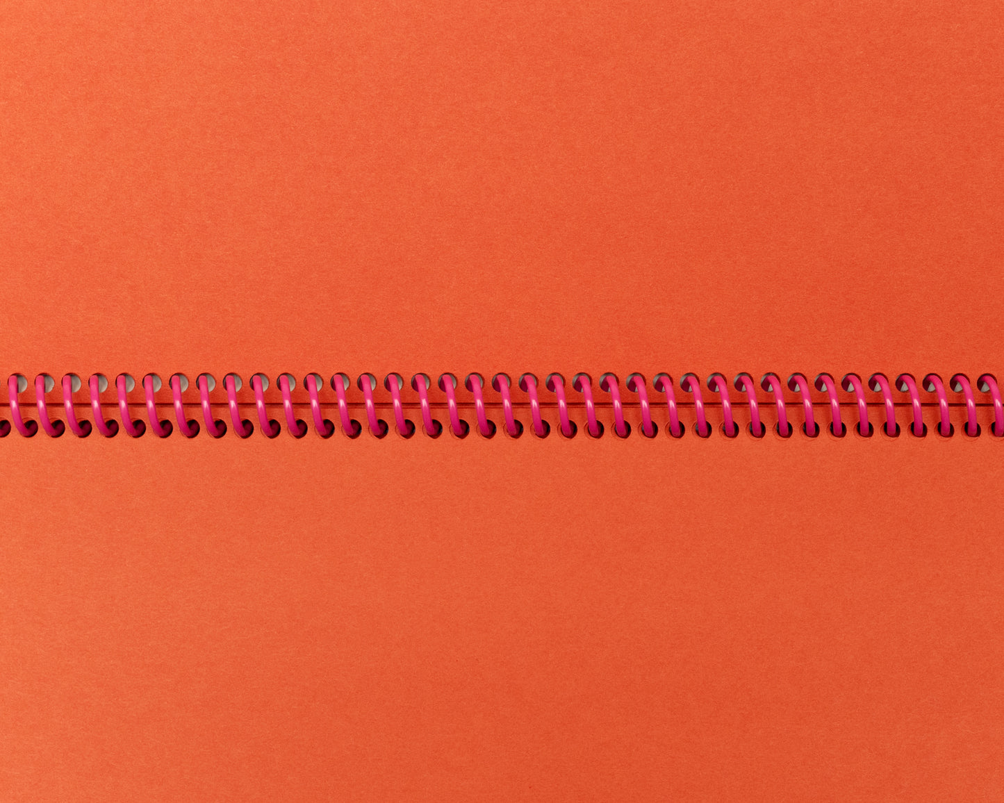 Lanky Notebook in Sherbet