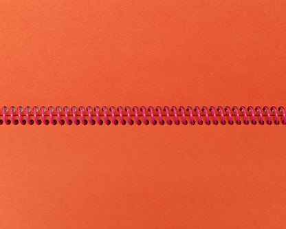 Lanky Notebook in Sherbet